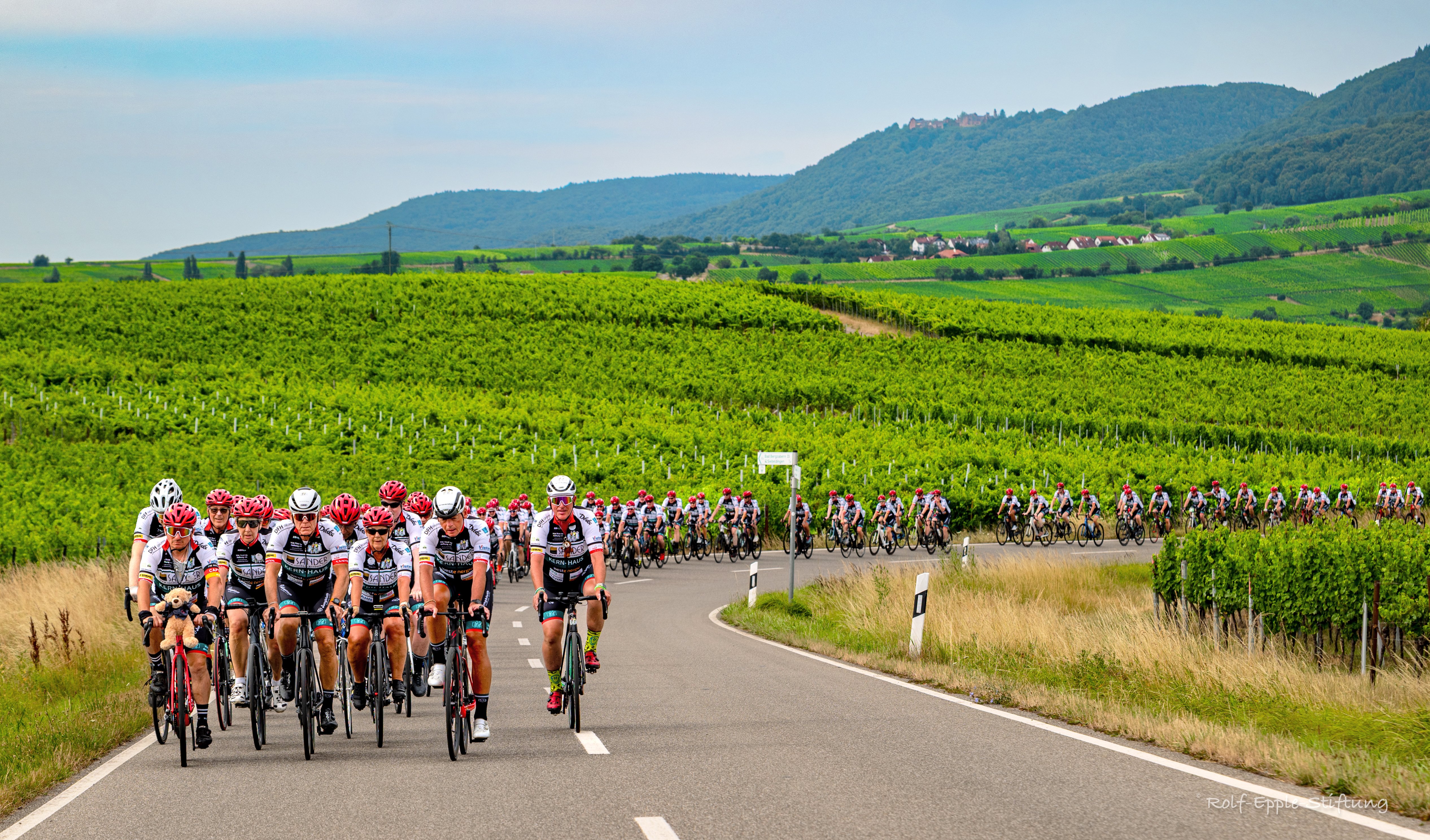 VorTour_Weinberge
