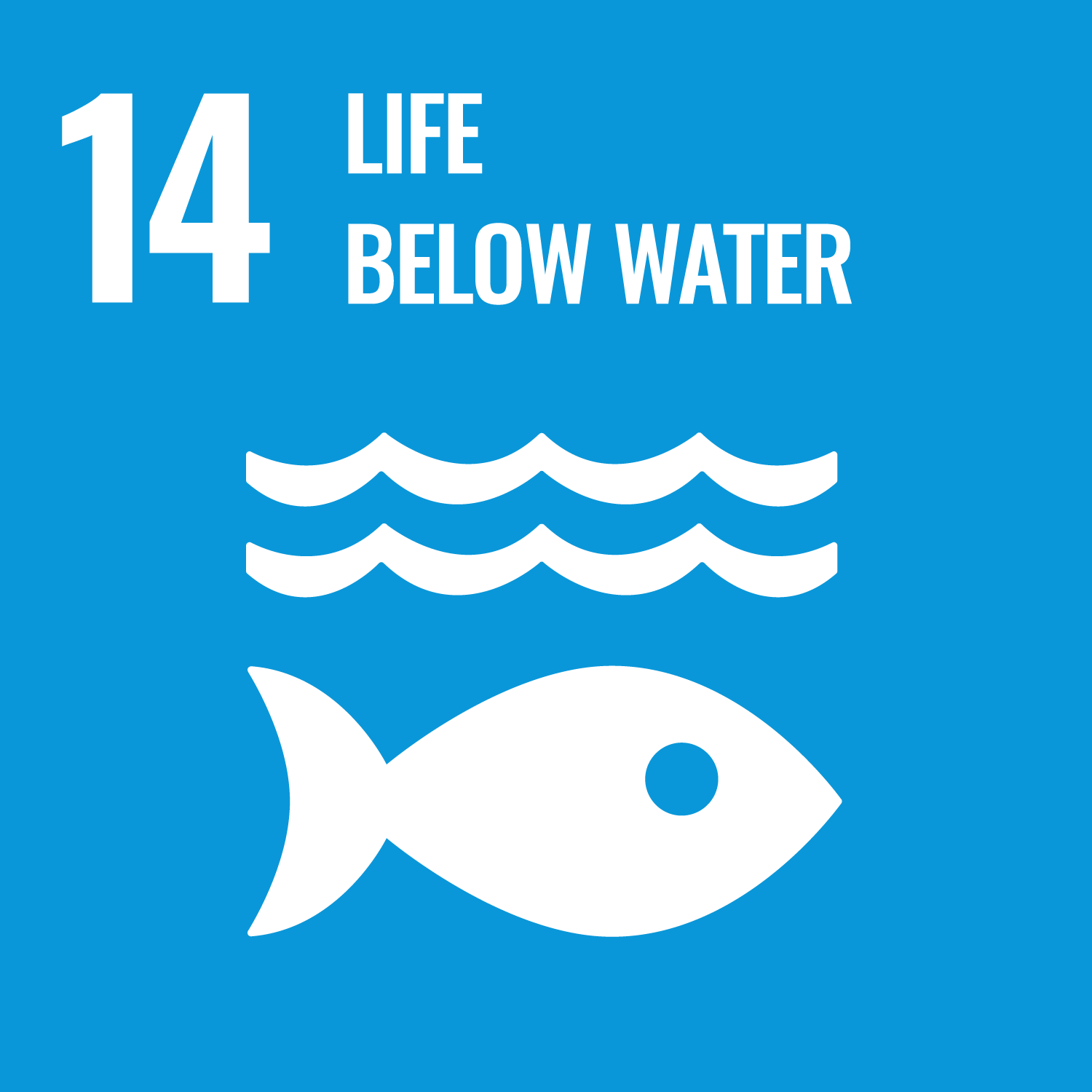 life_below_water
